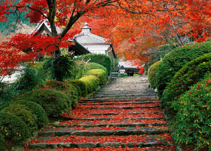 самые красивые места японии фото