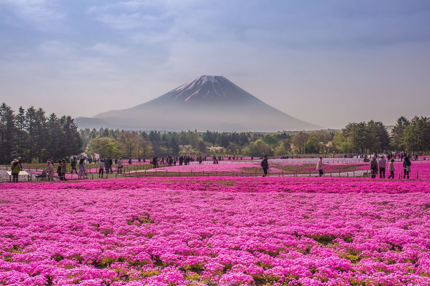 самые красивые места японии фото